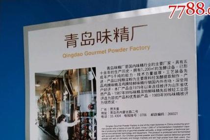 中国都有哪些味精工厂